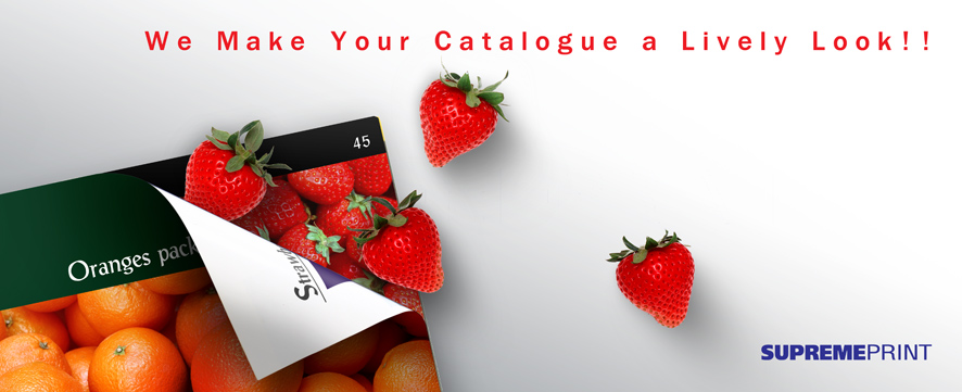 ҹ ᤵ͡ (Catalogues): ؾ鹷Ѻᤵ͡ٳҾ٧  www.supremeprint.net