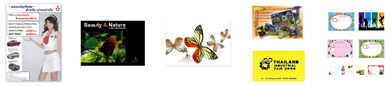 ҹ /ʡ (Cards/Postcards): ŧҹ/촢ͧç ؾ鹷  www.supremeprint.net