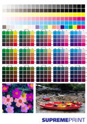 Colour Chart ç