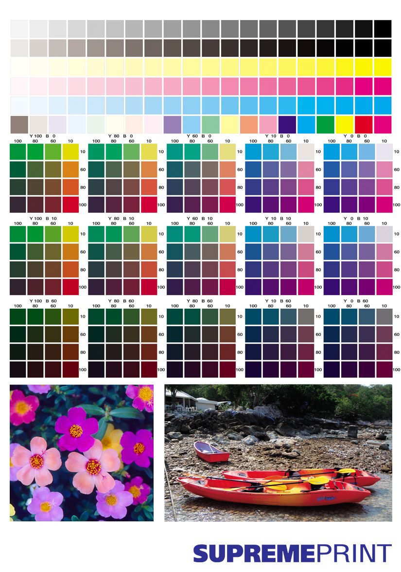 Colour Chart ç